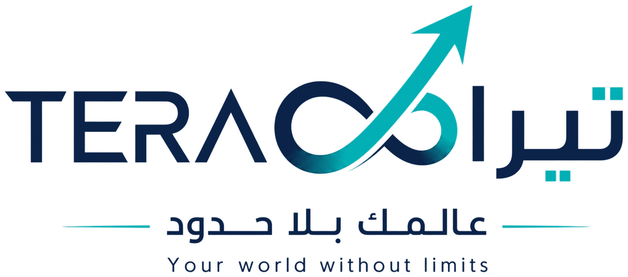 منصة تيرا للخدمات المتكاملة